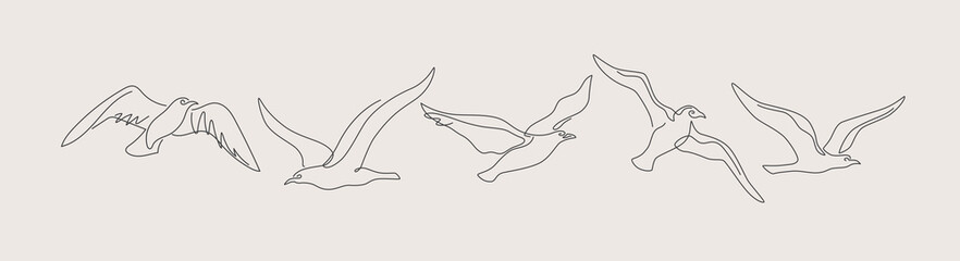 Set of linear images of flying birds. Continuous one-line drawing of a seagull. Black and white vector illustration on a light isolated background.