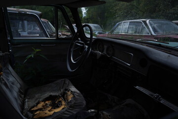 deteriorated car interior with plant growing inside