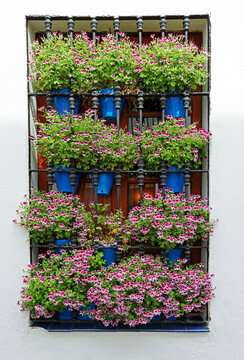 Cordoba flower festival in May 2022, or "the competition of balconies and fences."
