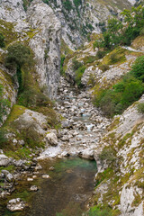 mountain stream with many rocks between two mountains