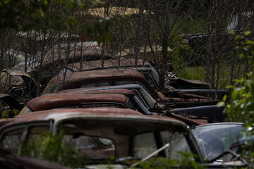 old rusty cars in a field