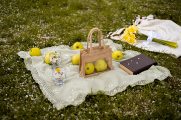 picnic in the park with a book