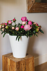 Big fresh pink and white peony blooming bouquet in a white metal bucket on a wooden table in a light bright modern beautiful apartment. Spring home decor or present idea. Vivid summer colors.