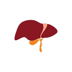 Human liver icon logo free vector