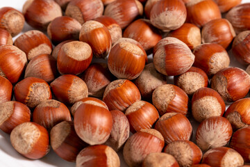 A group of Hazelnuts - stock photo