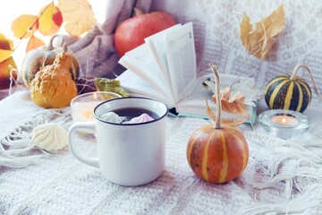 Pumpkins, a cup of coffee, autumn leaves, burning candles and an open book on the windowsill against the background of a woolen blanket, the concept of home comfort, Thanksgiving 