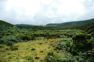 Fototapeta na wymiar Inland view of the island crater with the original Erica Azorica