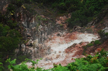 Volcanic crater with sulfur vapors and contrasting flora around