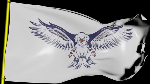 Eagle gold flag 0040-0250.mp4 .