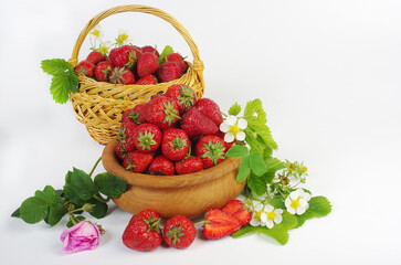 Ripe strawberries in a wooden bowl and in a basket, strawberry leaves and flowers on white.