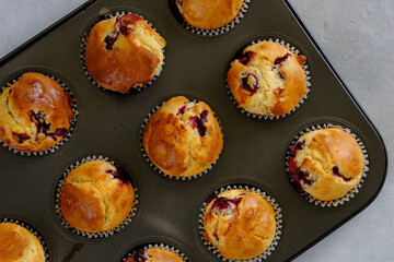Fragrant lemon muffins with cherry in the form for baking on a gray background