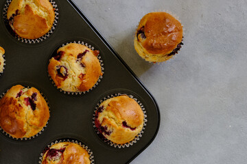 Fragrant lemon muffins with cherry in the form for baking on a gray background