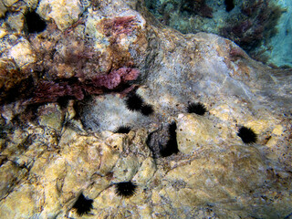 Fondale marino Letojanni