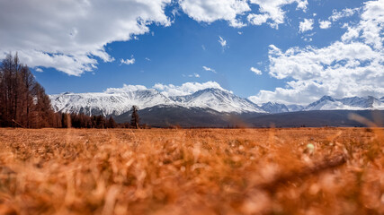 Beautiful landscape road in autumn forest with snow peaks mountains Chuysky tract, Altai Kurai steppe Russia. Aerial top view