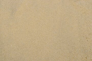Fototapeta na wymiar Background with beach sand texture close-up photo