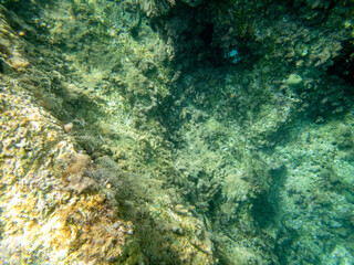 Fondale marino Letojanni 