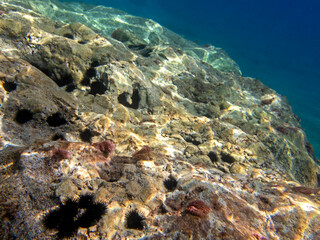 Fondale marino Letojanni 