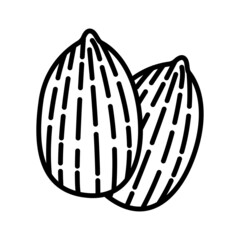 Almond nut icon. Linear style almond nut.