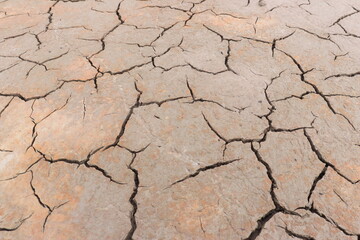 Top view of the dried up cracked soil. Drought, crop failure, global warming, climate change concept. Abstract texture background