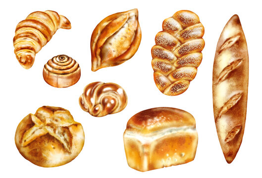 Watercolor illustration set – Baking: croissant, bread, baguette, french baguette, bun.