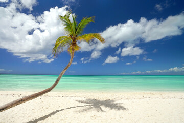 Obraz na płótnie Canvas Caribbean beach Isla Saona