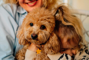 close-up portrait of a red poodle dog at home against the background of its owners: a mother with a smiling daughter