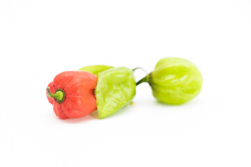 chili pepper or the Naga Morich or naga chili in hand isolate on white, spicy vegetable content