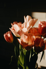 Fototapeta Bouquet of white and pink tulips on black background. obraz