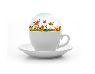 Diorama mit Mohnblumen in einer weissen Tasse