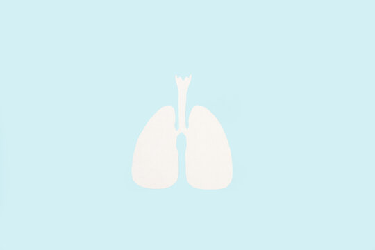 Pulmones de papel blanco sobre un fondo celeste claro liso y aislado. Vista superior. Copy space