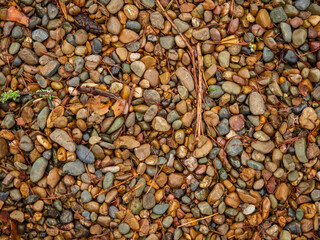 Old cobblestone road with soil between stones. Texture and background.