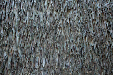 The roof wallpaper is made of leaves overlapping.