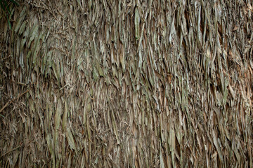 The roof wallpaper is made of leaves overlapping.