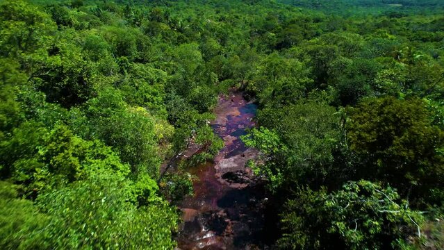 Ca&ntilde;o Cristales river with red flowing through a rocky bed of green rainforest on a sunny day, Colombia - view from a low flying drone