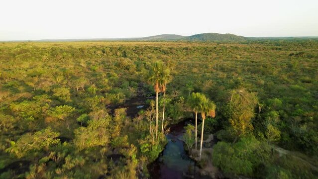 The river of seven colors of Ca&ntilde;o Cristales flows through the natural landscape with a predominance of shrubs, low trees and palm trees. In the background silhouettes of mountains. Colombia