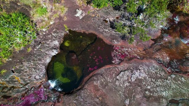 View straight down on the rusty colored Caño Cristales River flowing through the rocky bed of the rainforest in Colombia