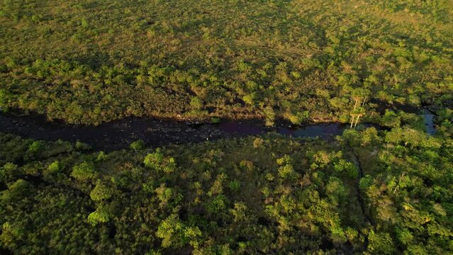 Aerial view of Ca&ntilde;o Cristales river with red algae in a riverbed surrounded by green rainforest nature, Colombia