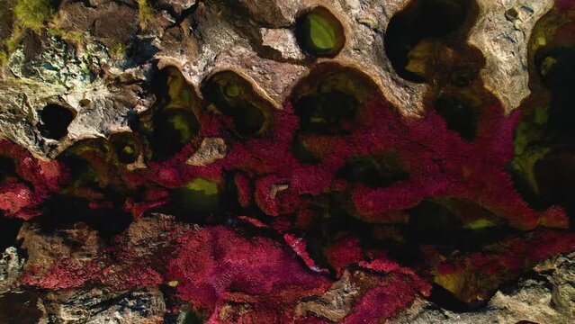 Rock formation formed by the Ca&ntilde;o Cristales River with its red algae, surrounded by a tropical rainforest in Colombia - a distant view down