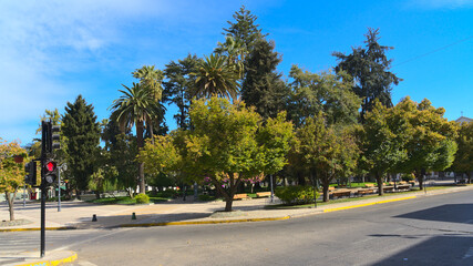 Fototapeta na wymiar road in the park