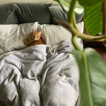 baby sleeping on a blanket