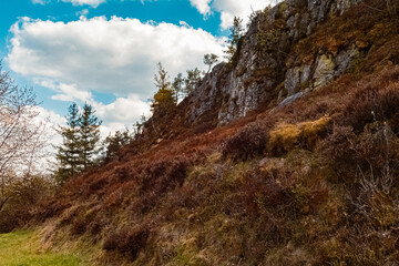 Obraz premium Beautiful summer view at the famous Grosser Pfahl nature monument, Viechtach, Bavarian forest, Bavaria, Germany