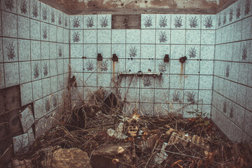 Lostplace
