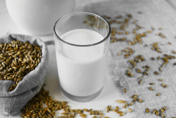 Vegan barley milk in a glass and barley grains in a linen bag on a white natural table, non-dairy alternative milk