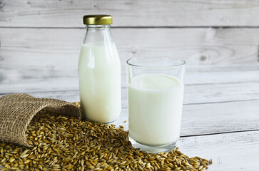 Vegan barley milk, non-dairy alternative milk on a wooden table in a bottle and glass, next to barley grains in a burlap bag, a copy space