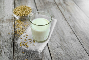 Vegan barley milk in a glass on a napkin and barley grains on a wooden table, non-dairy alternative milk, copy space