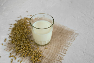 Vegan barley milk in a glass on burlap and barley grains on a wooden table, non-dairy alternative milk, copy space