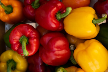 Obraz na płótnie Canvas Selection of bell peppers