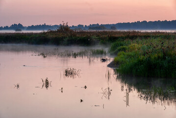 Wczesny poranek i zjawiskowy wschód słońca nad Rzeką Narew , Podlasie, Polska