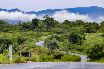 Road landscape with curves towards the mountains.