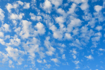 Cloudscape, blue sky and clouds at sunrise